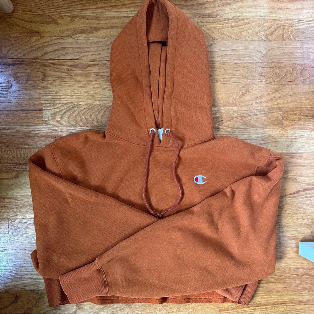 Champion reverse weave cropped hoodie